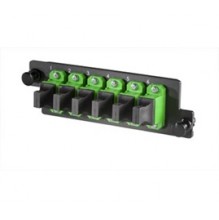 Infinium High Density 6 Way Singlemode MPO Adaptor Panel